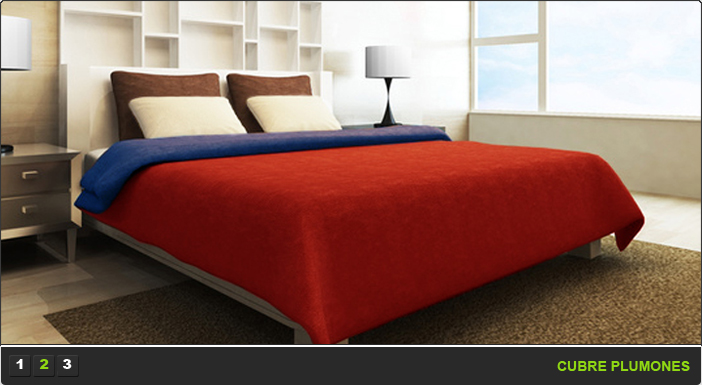 cubre_plumones